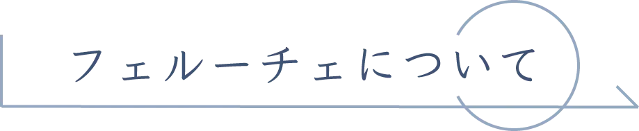 フェルーチェについて